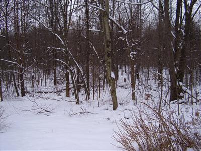 13745 Doster Road Plainwell, MI 49080 - Photo 3 of 7 Additional Photo