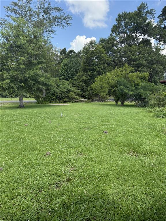 404 David Marcantel Road Dequincy, LA 70633 - Photo 34 of 35