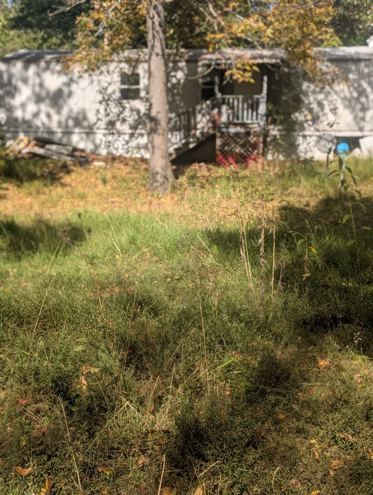 2775 North Hurricane Creek Road McEwen, TN 37101 - Photo 2 of 6