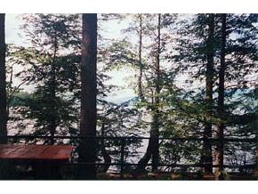37 Winaukee Road Moultonborough, NH 03254 - Photo 3 of 6 Gallery Image 3