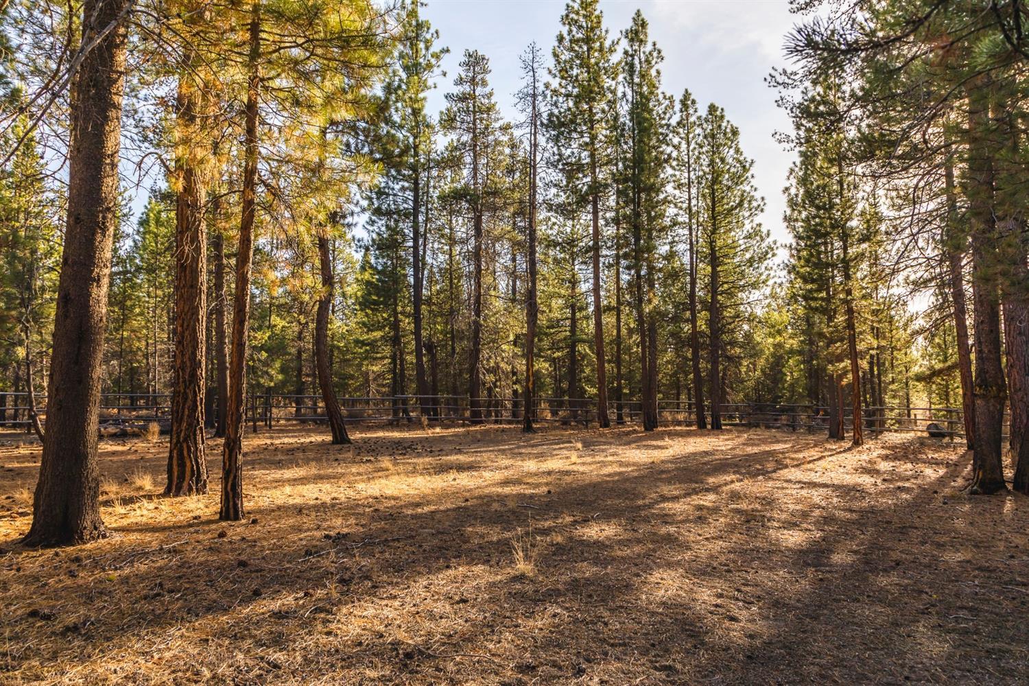 7646 Forest Service Road Chiloquin, OR 97624 - Photo 21 of 35 Additional Photo