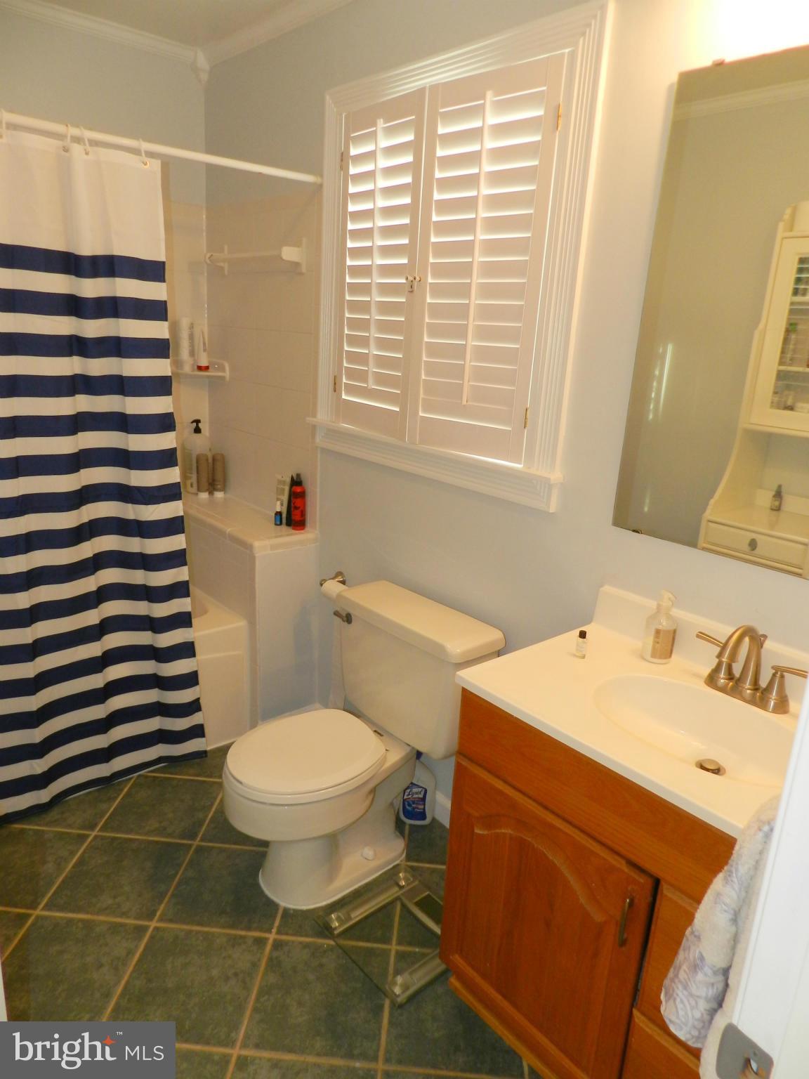 17104 Whites Road Poolesville, MD 20837 - Photo 20 of 30 Bath (Master)