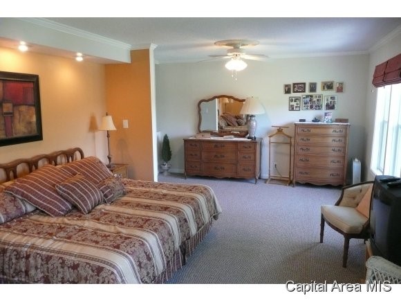 745 Persimmon Road Petersburg, IL 62675 - Photo 7 of 16 Gallery Image 7