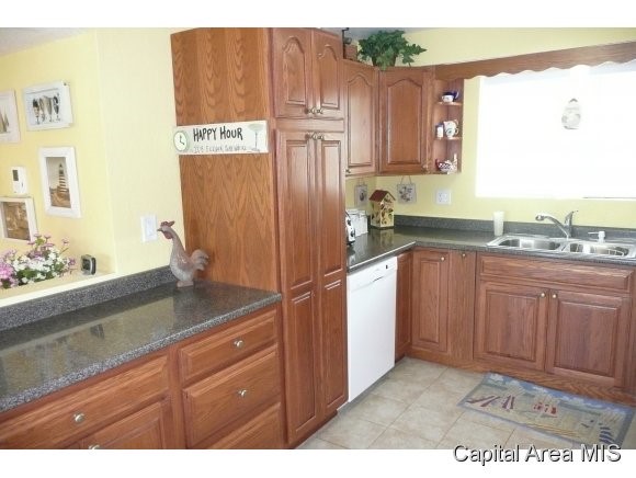 745 Persimmon Road Petersburg, IL 62675 - Photo 10 of 16 Gallery Image 10