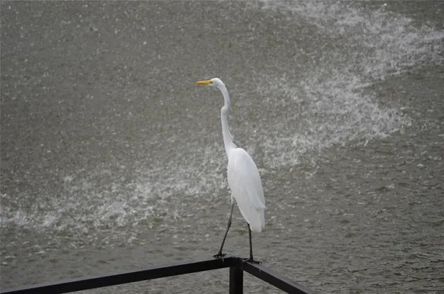 a view of a lake with a city