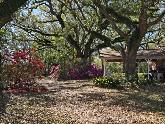 4643 Keyser Lane Pace, FL 32571 - Photo 10 of 14 a view of a house with a tree