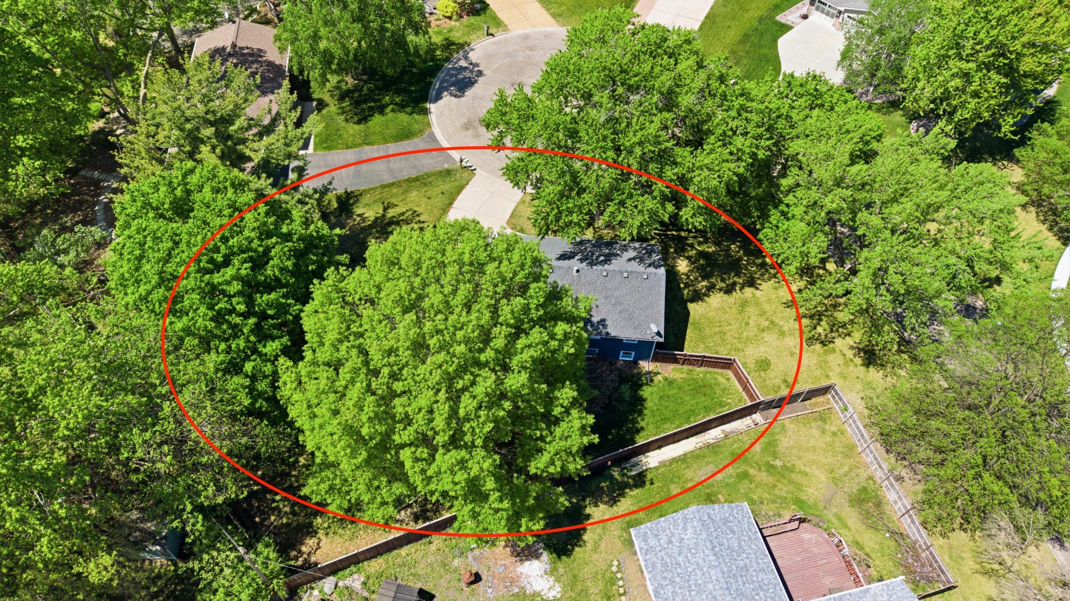 311 Eagle Ridge Circle Burnsville, MN 55337 - Photo 8 of 38