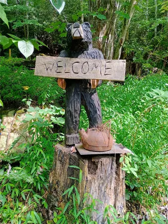 $639,000 | 48 Buck Ridge Road, Fairview, NC 28730