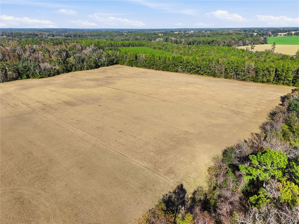 Old Bellamy Road High Springs, FL 32643 - Photo 8 of 13 Gallery Image 8