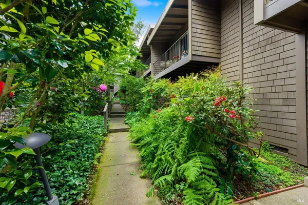 $797,000 | 1411 Casa Buena Drive, Unit 46, Corte Madera, CA 94925