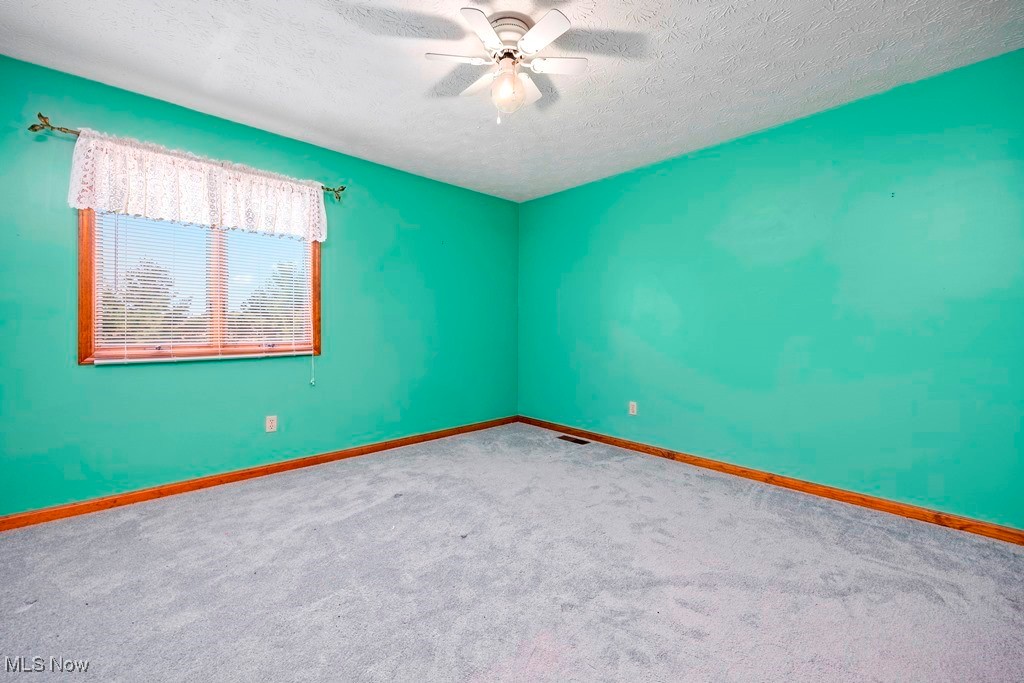 42381 Webster Road Lagrange, OH 44050 - Photo 16 of 50 Gallery Image 16