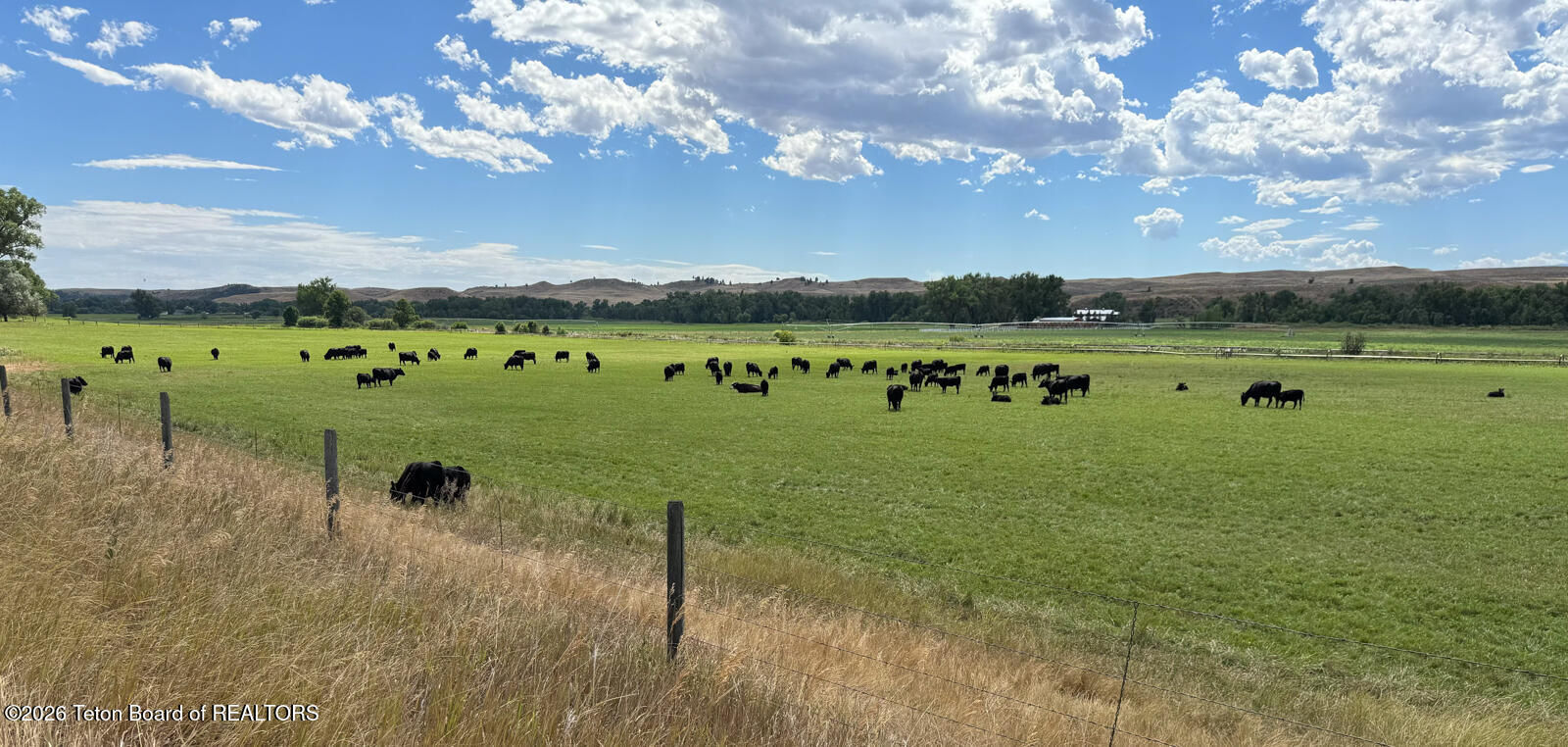 1720 State Highway Ranchester, WY 82839 - Photo 36 of 61 Soaring-Eagle-Ranch-Ranchester-Wyoming (