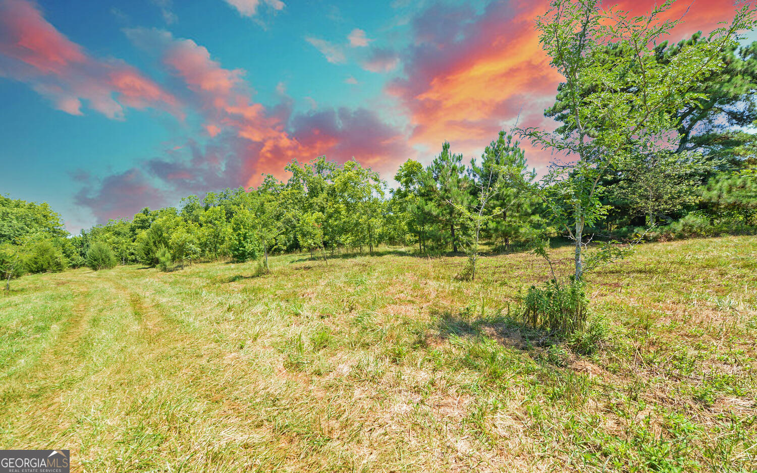 3439-tract 3 Providence Church Road Hartwell, GA 30643 - Photo 13 of 22 a view of yard with large tree