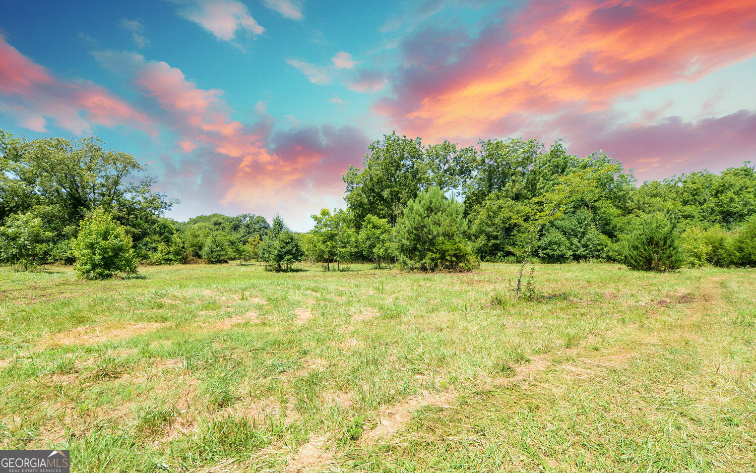 3439-tract 3 Providence Church Road Hartwell, GA 30643 - Photo 14 of 22 a yard with a trees in the background