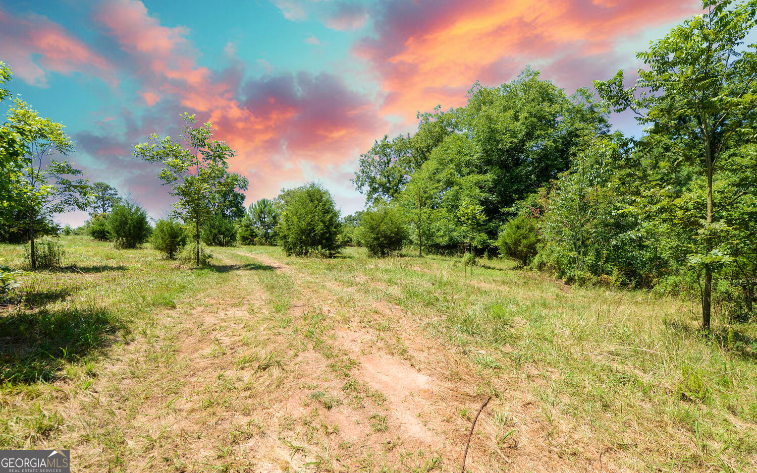 3439-tract 3 Providence Church Road Hartwell, GA 30643 - Photo 17 of 22 a view of backyard with green space