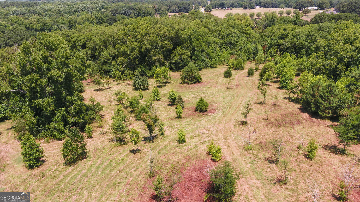 3439-tract 3 Providence Church Road Hartwell, GA 30643 - Photo 4 of 22 a view of a yard covered with trees