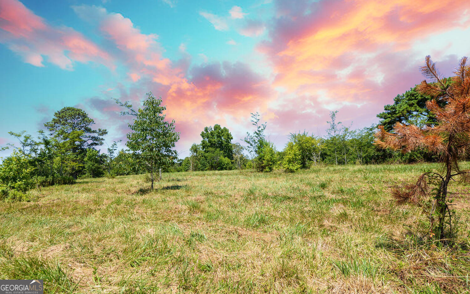 3439-tract 3 Providence Church Road Hartwell, GA 30643 - Photo 9 of 22 a backyard of a house with lots of green space