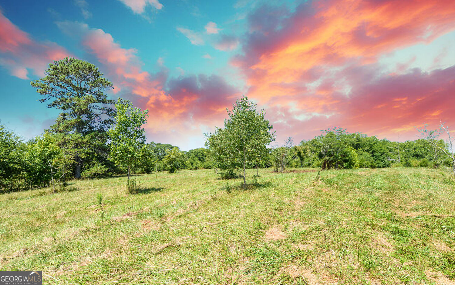 3439-tract 3 Providence Church Road Hartwell, GA 30643 - Photo 10 of 22 a view of a yard with an trees