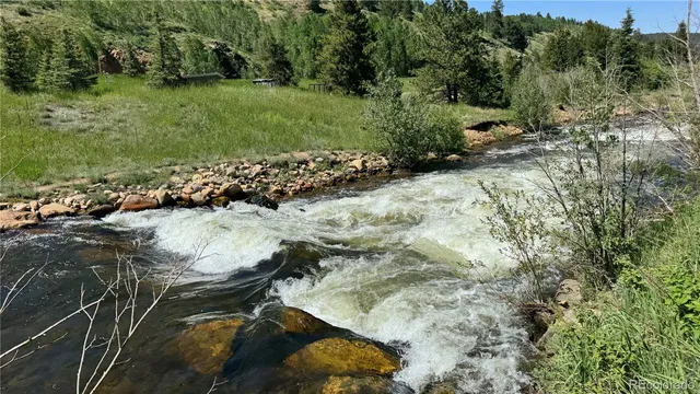 a view of a yard with plants and large trees