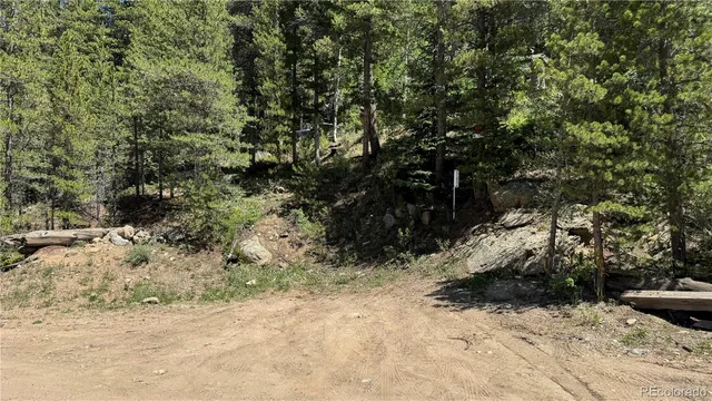 a view of a yard covered in snow