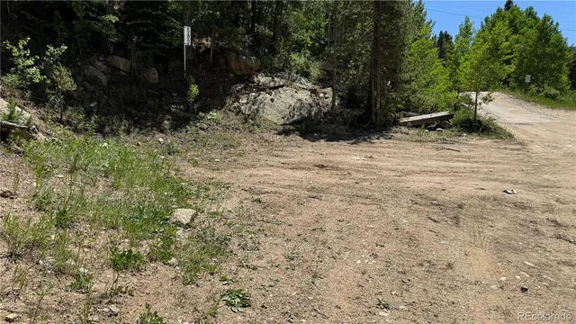 a view of a yard with plants and trees
