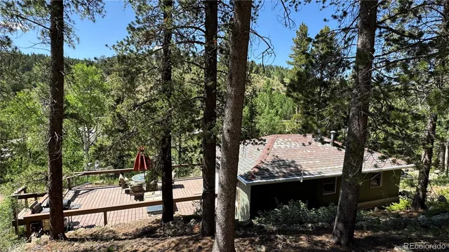 a view of a forest from a tree