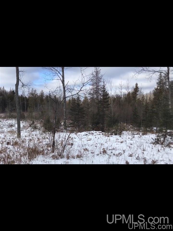 Tbd Swamp Road Powers, MI 49874 - Photo 10 of 30