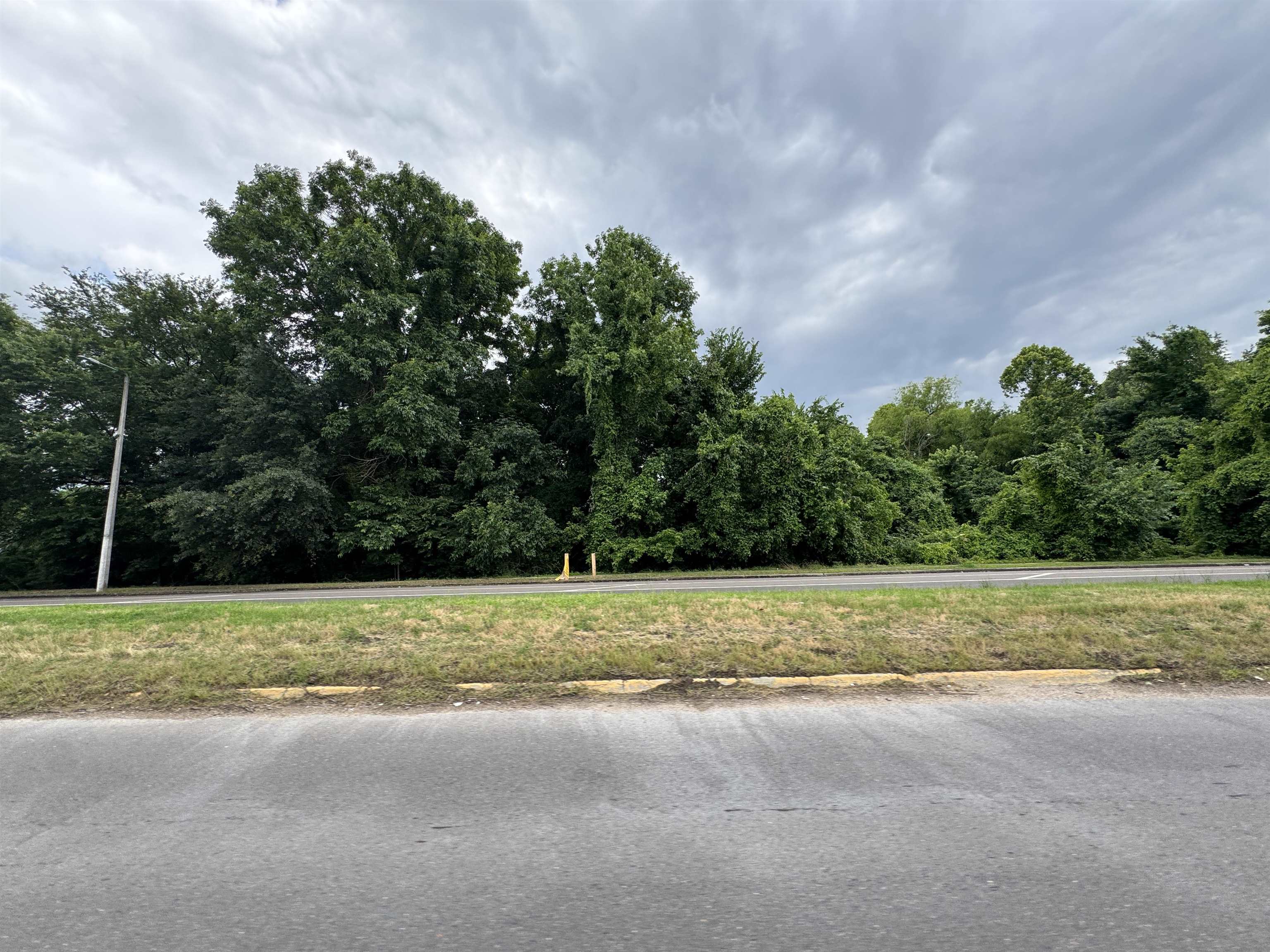 5105 Pleasant View Road Memphis, TN 38134 - Photo 1 of 1 View of asphalt street with a view of trees