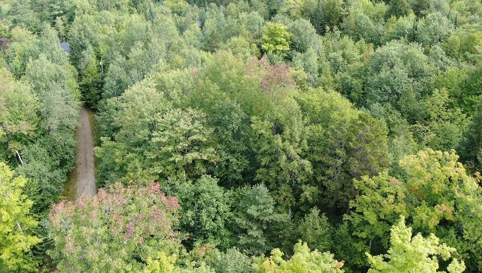 R213 C Howard Pond Road Hanover, ME 04237 - Photo 10 of 11 DJI_0093
