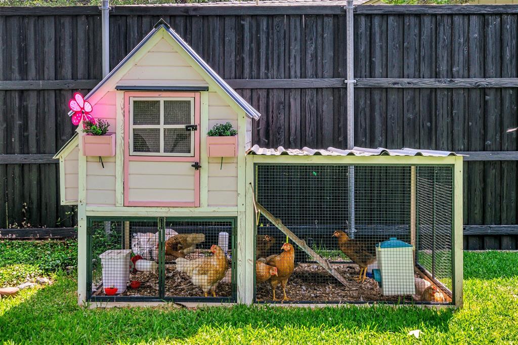 4115 Calculus Drive Dallas, TX 75244 - Photo 13 of 35 Homes for chickens a plus++