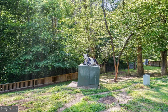 a view of backyard with green space