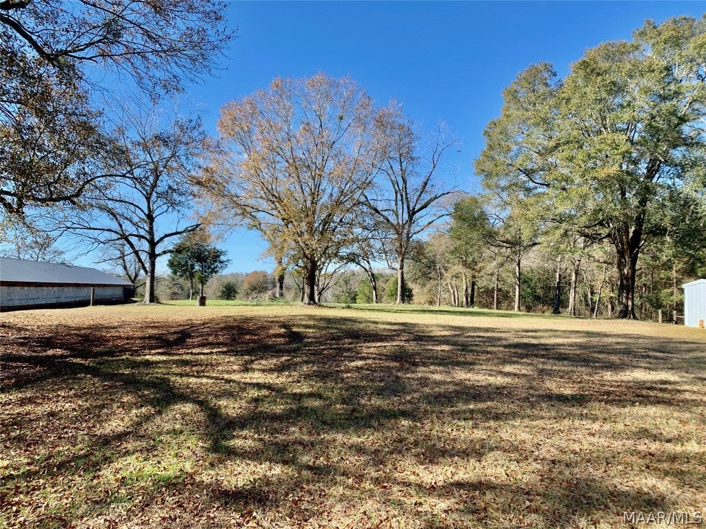 2799 Alford Road Samson, AL 36477 - Photo 27 of 35 Gallery Image 27