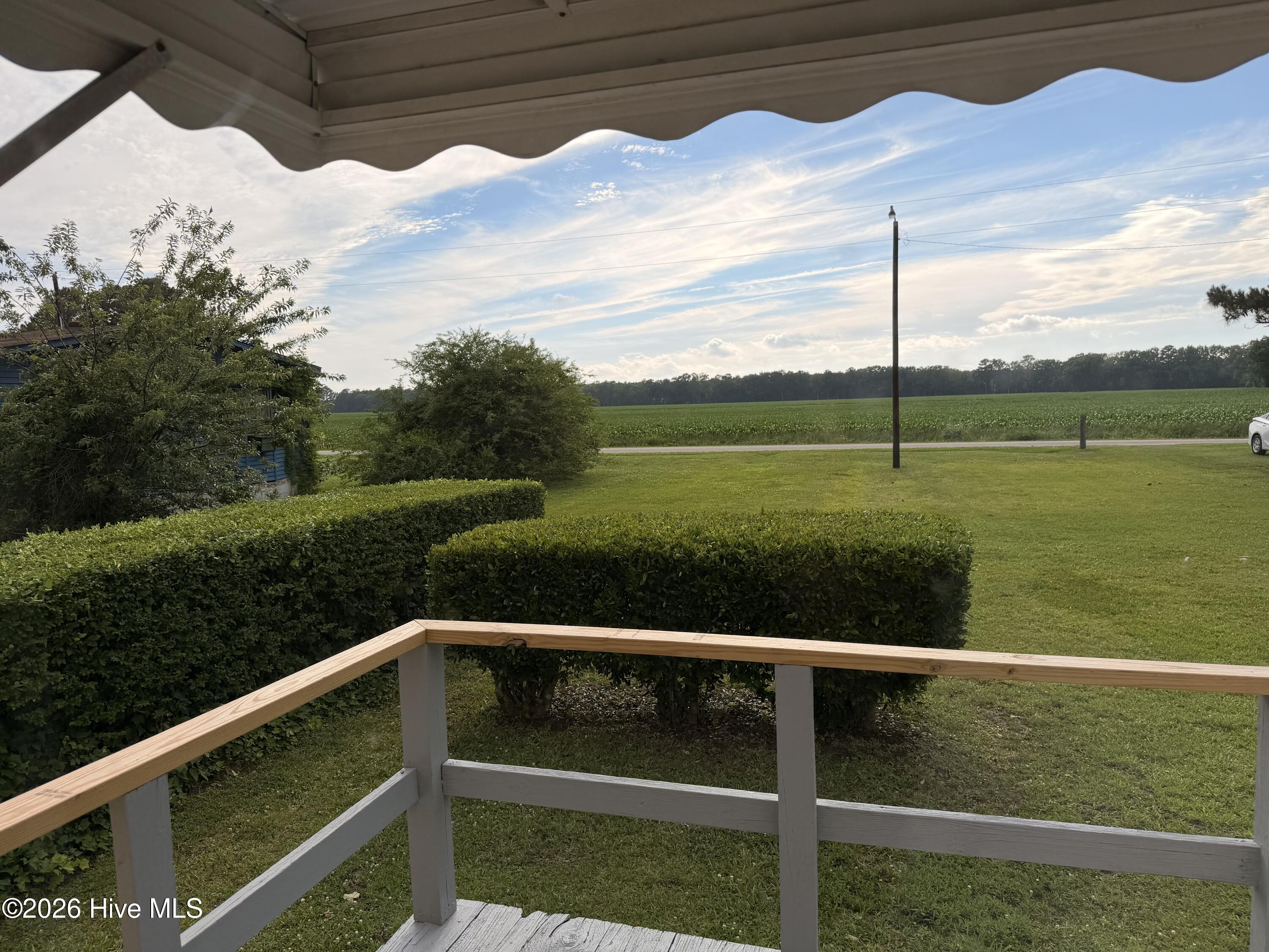 228 North River Road Camden, NC 27921 - Photo 19 of 26 farm view from front door