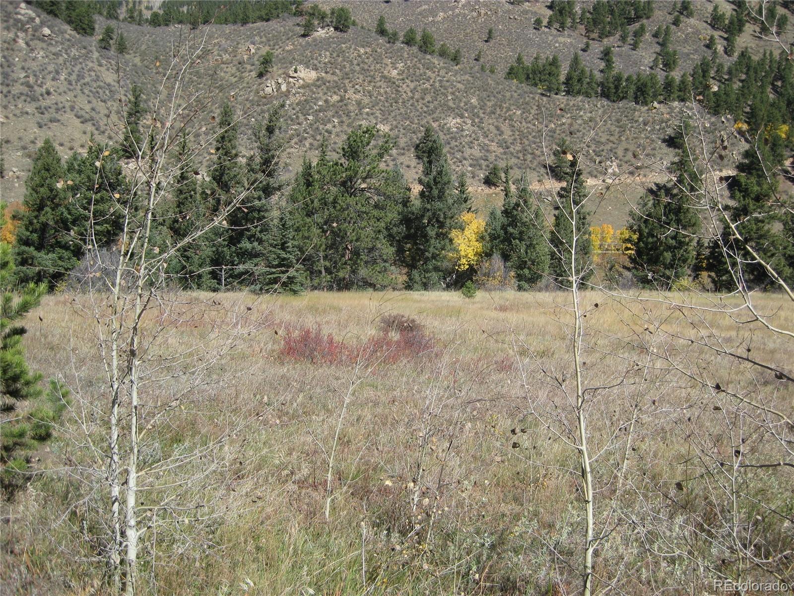 291 North Fork Road Grant, CO 80448 - Photo 1 of 3 Gallery Image 1