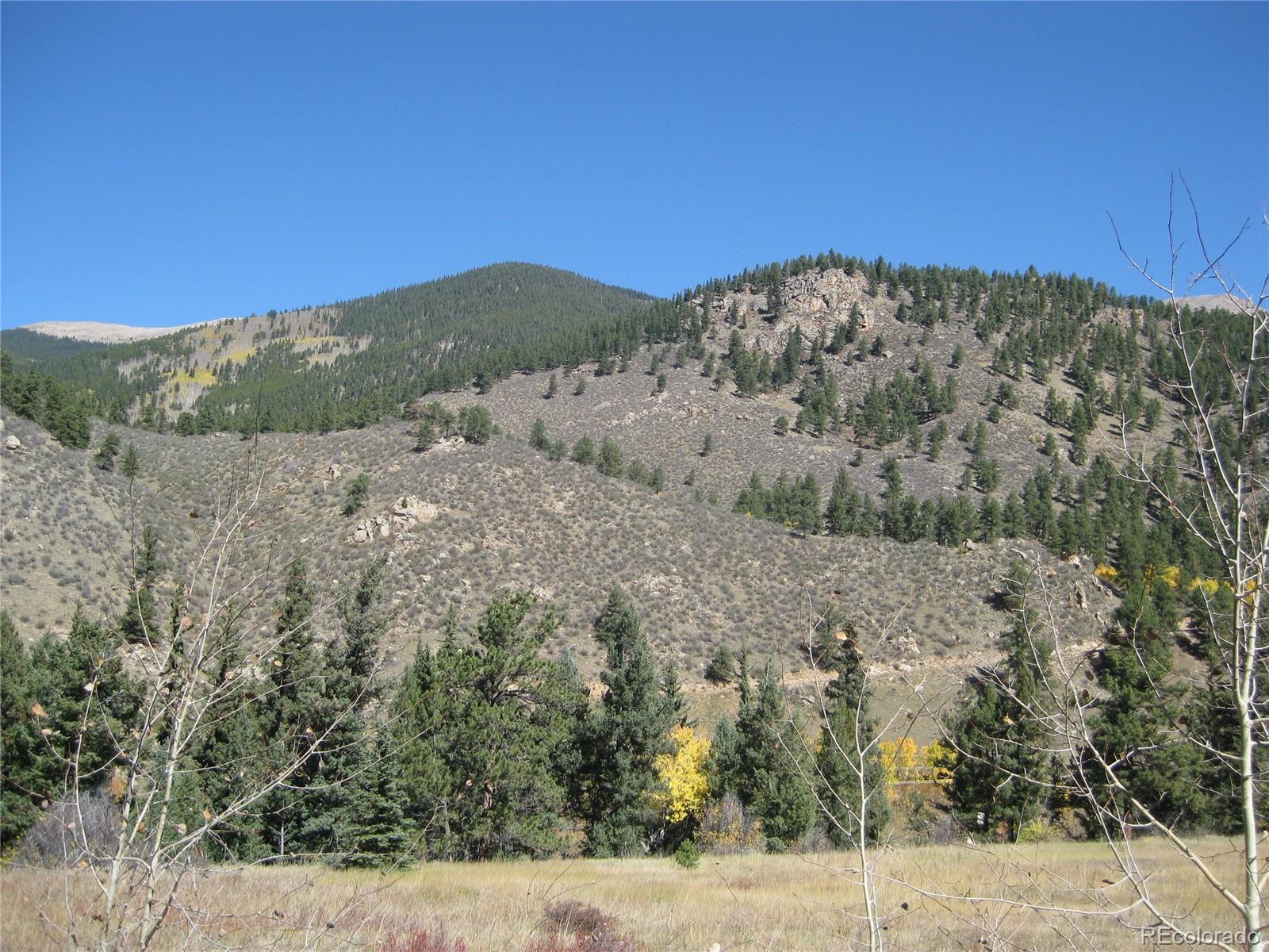 291 North Fork Road Grant, CO 80448 - Photo 2 of 3 Gallery Image 2