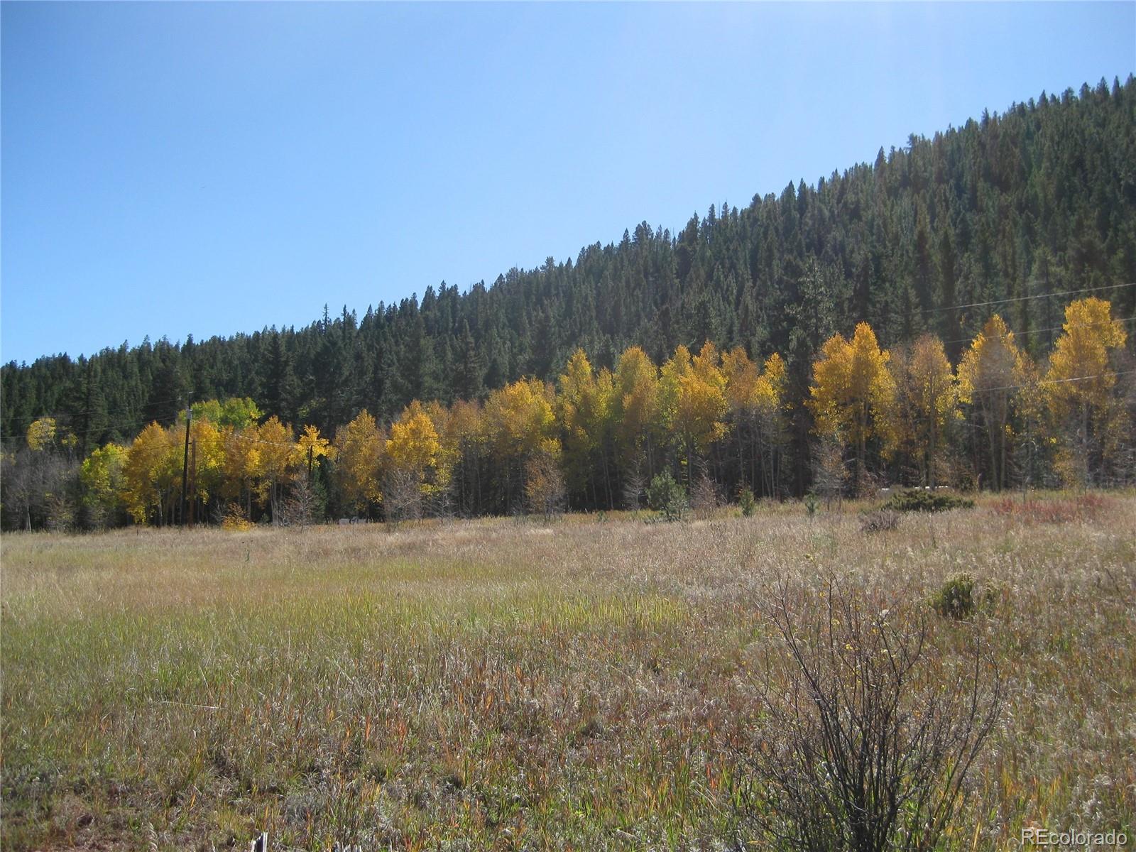 291 North Fork Road Grant, CO 80448 - Photo 3 of 3 Gallery Image 3