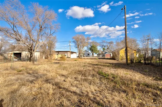 a view of road with large trees