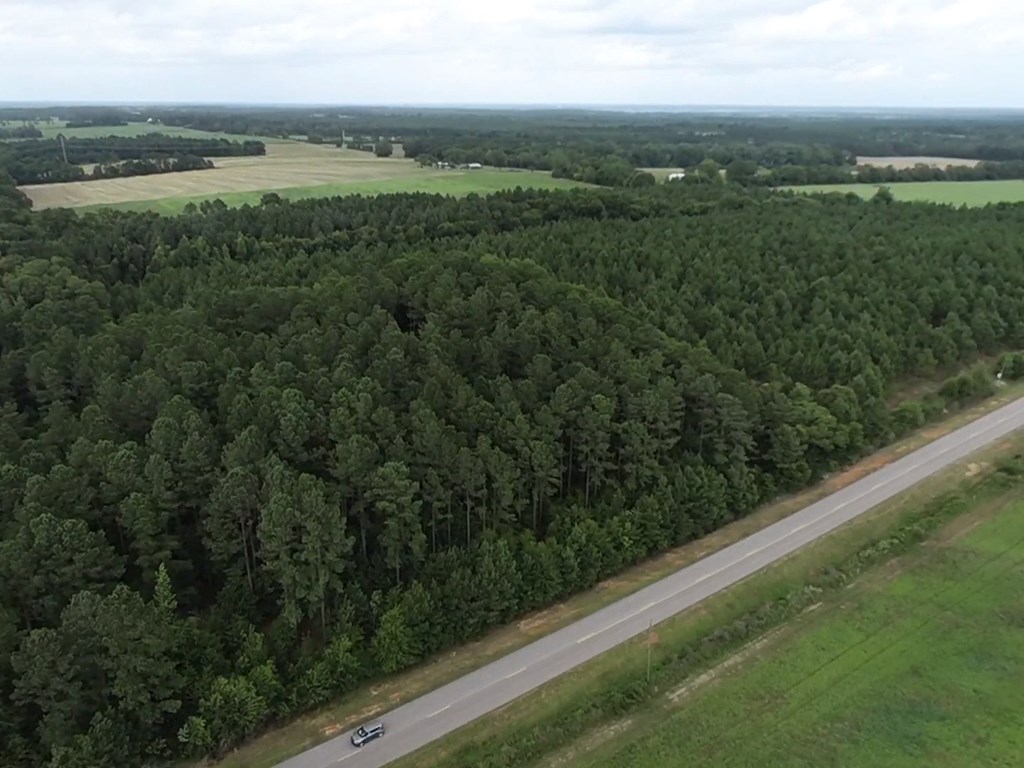 75/ Nuclear Plant Road Columbia, AL 36319 - Photo 29 of 34