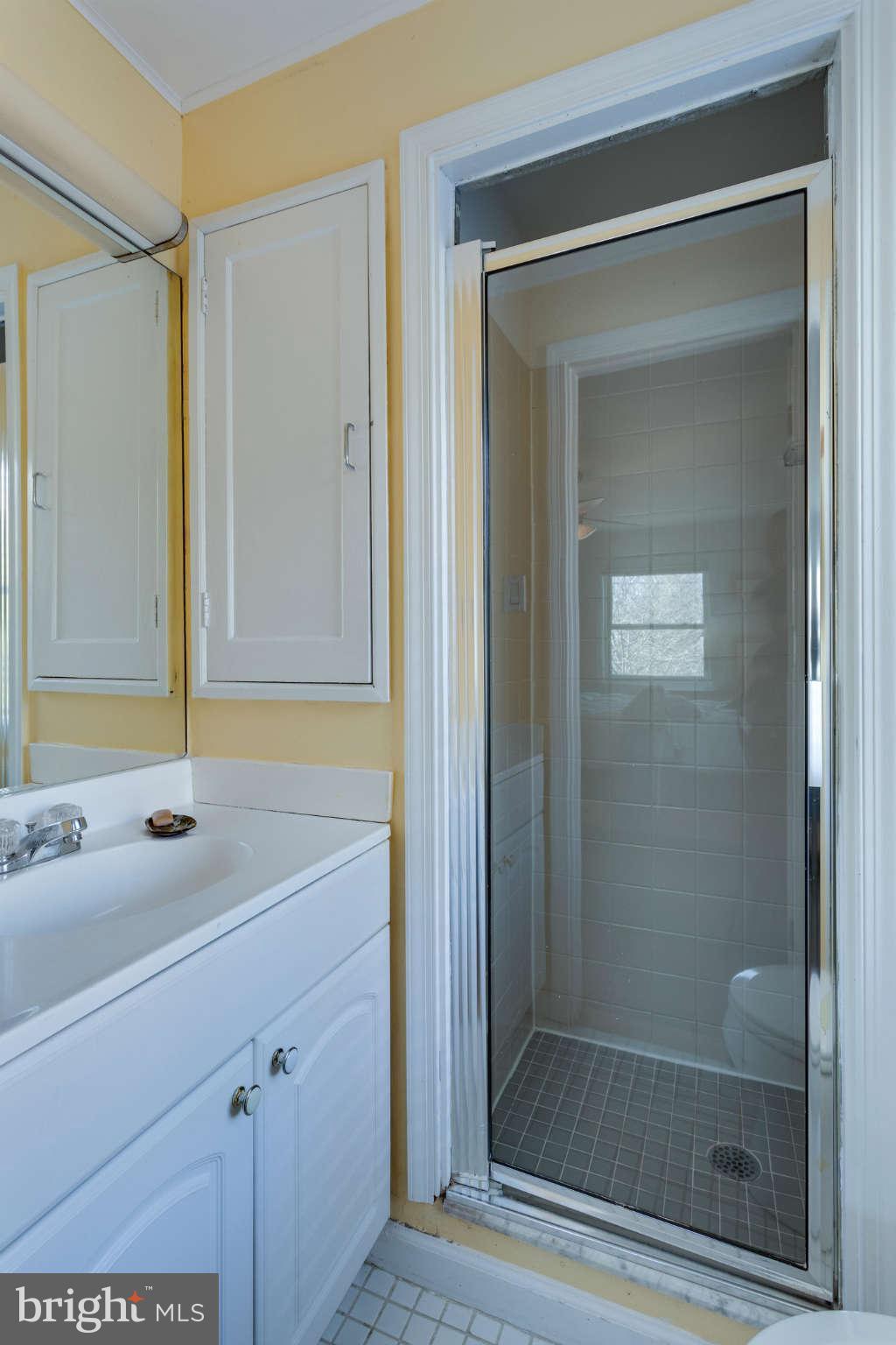 5006 Allan Road Bethesda, MD 20816 - Photo 14 of 20 Bath (Master)