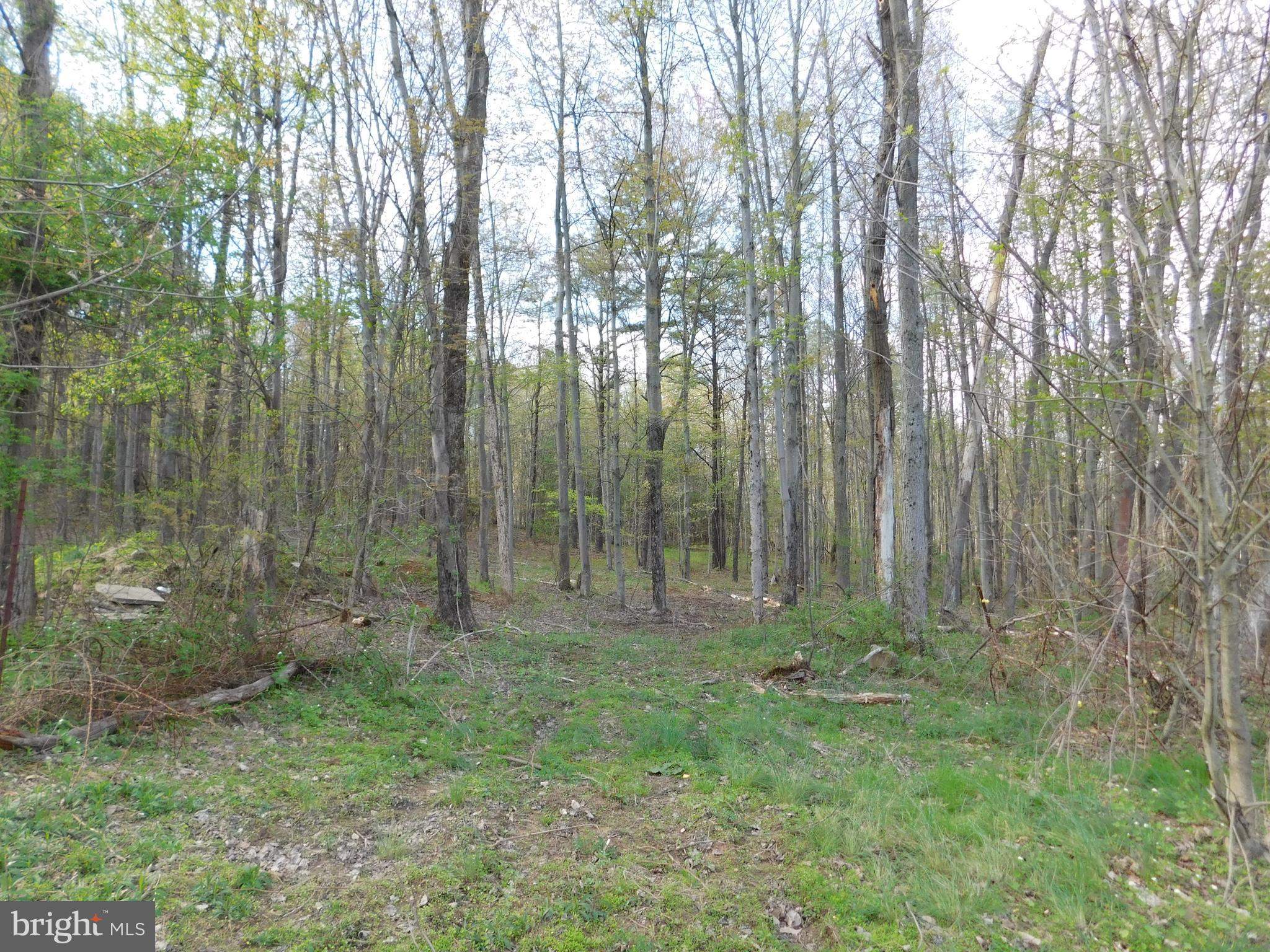 4026 Long Run Road Lehighton, PA 18235 - Photo 16 of 21 Gallery Image 16