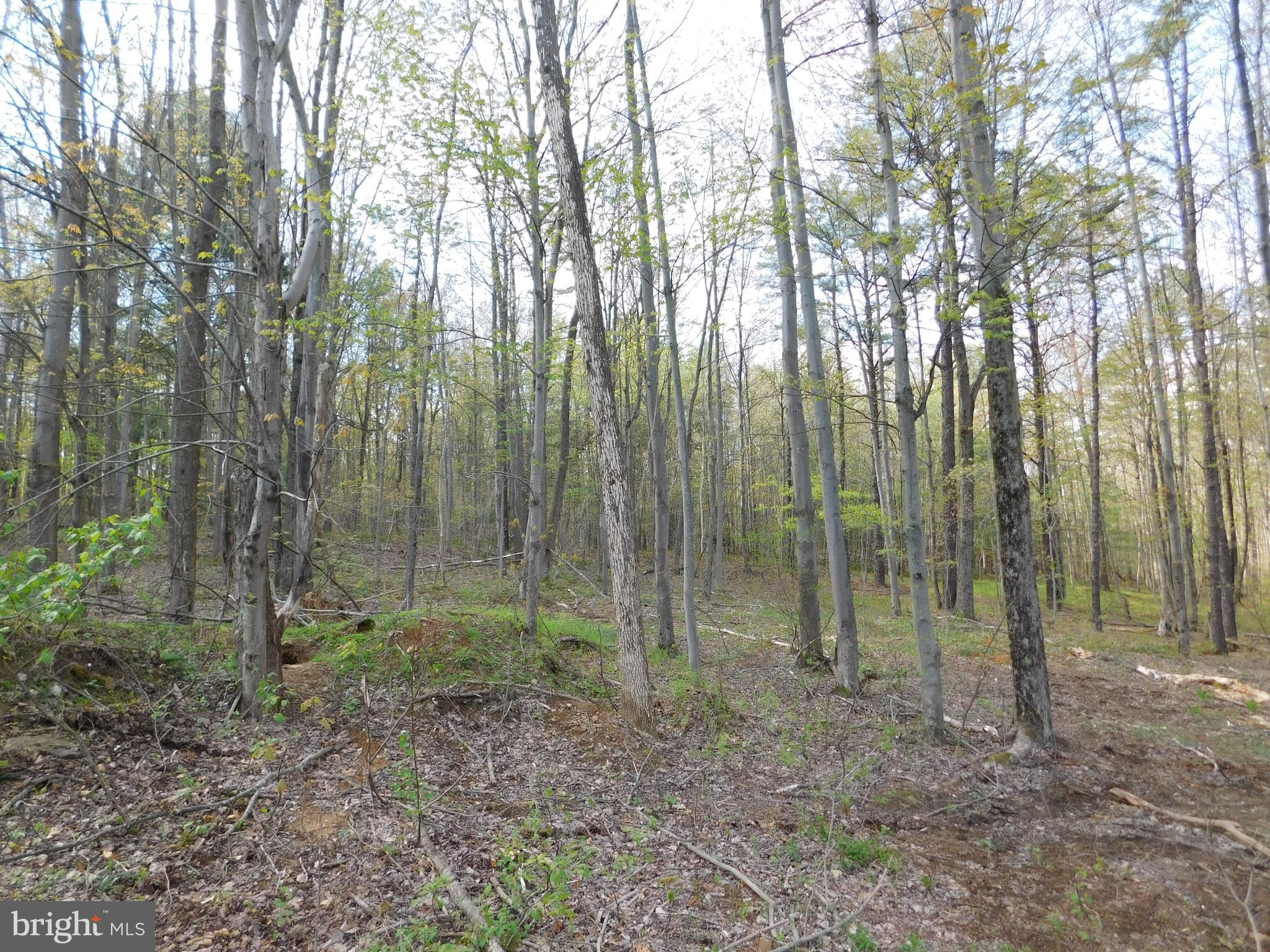 4026 Long Run Road Lehighton, PA 18235 - Photo 17 of 21 Gallery Image 17