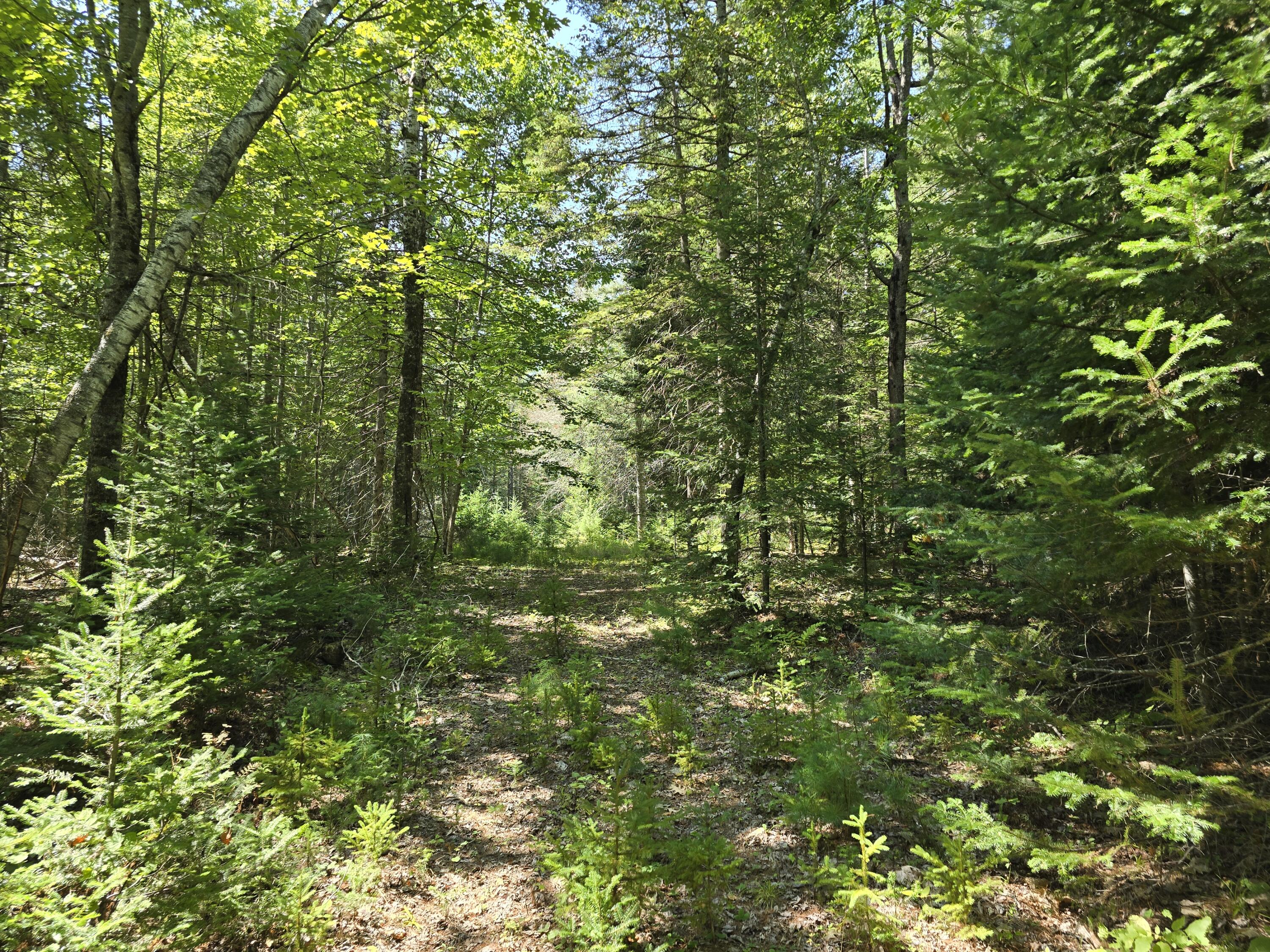 0 French Road Levant, ME 04456 - Photo 10 of 16 20260829_124001