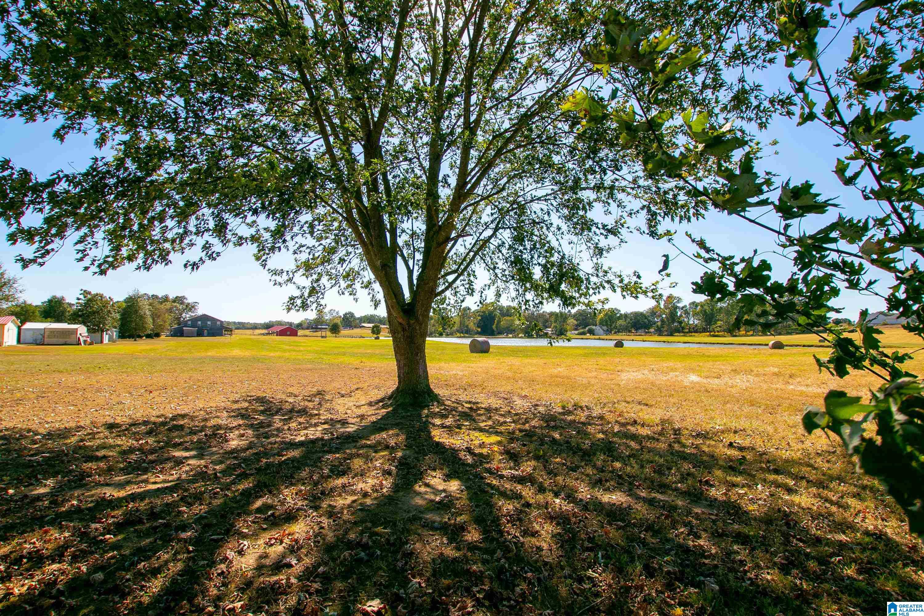 175 River Bend Road Altoona, AL 35952 - Photo 37 of 40