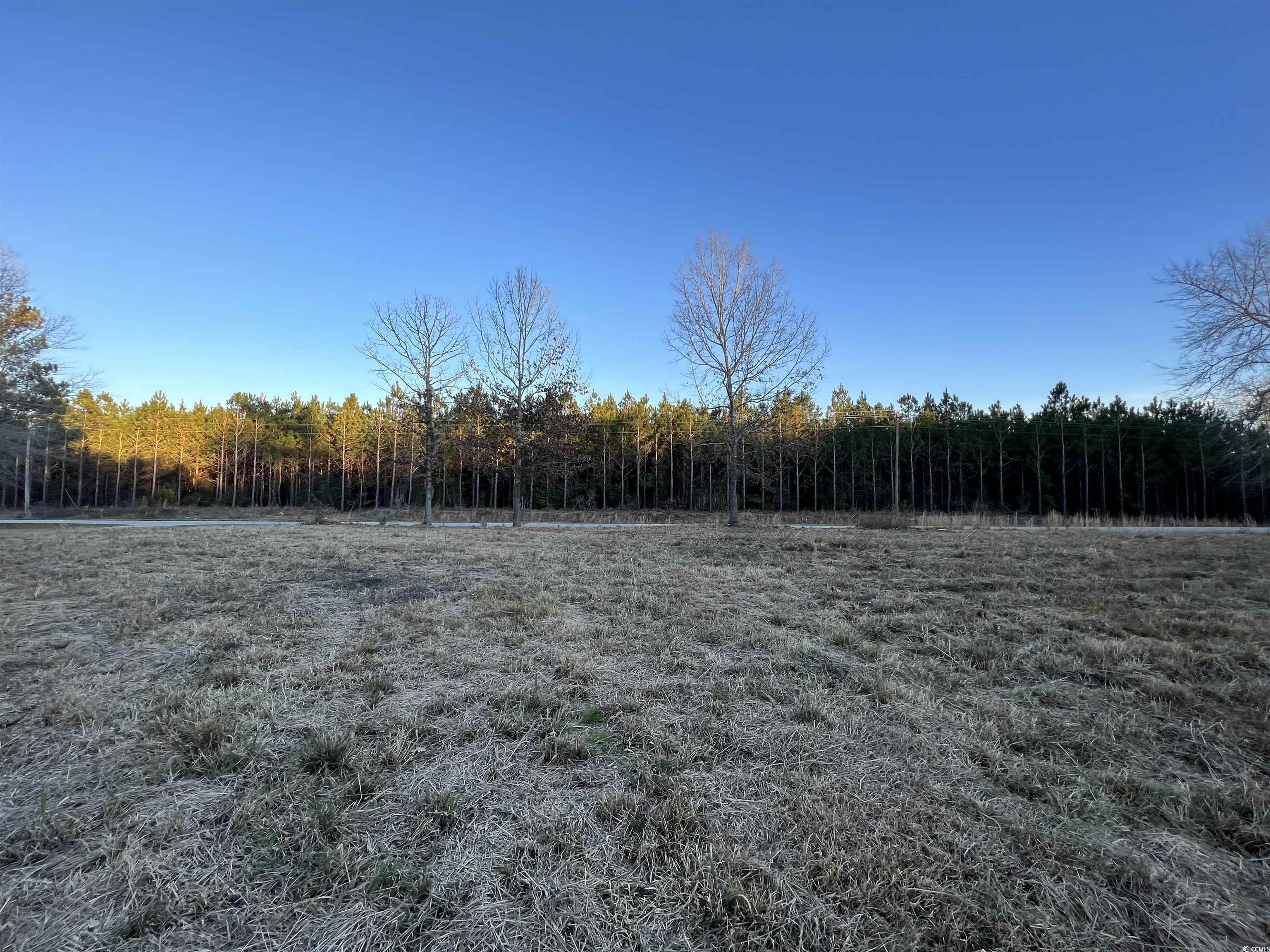 9207 County Line Road Nesmith, SC 29580 - Photo 5 of 7