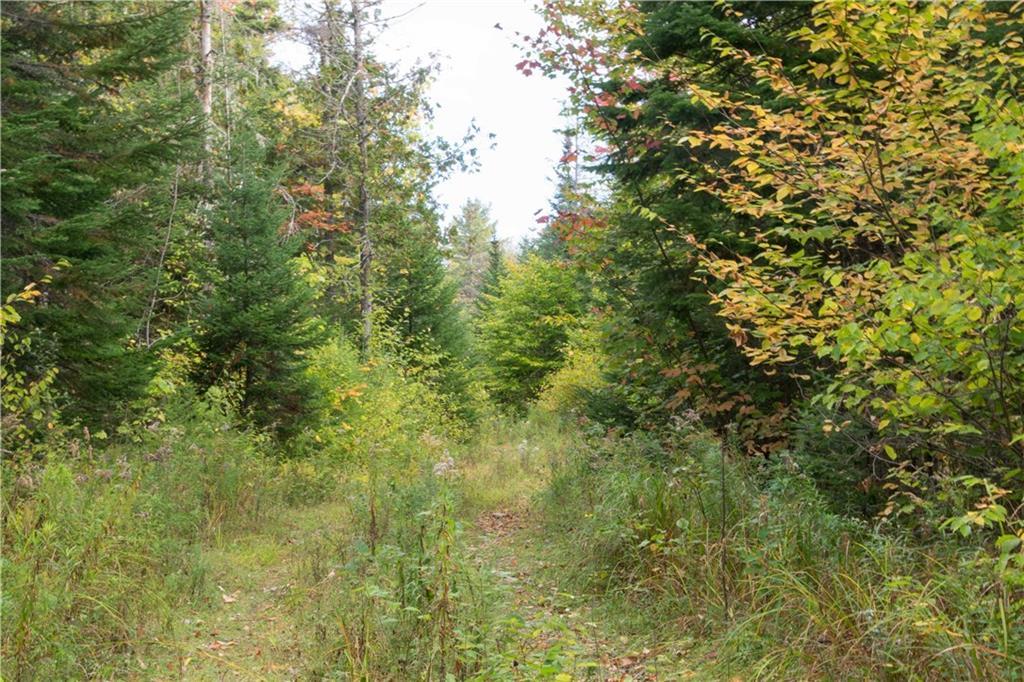 11 NORTH Rd Mount Mount Chase, ME 04765 - Photo 16 of 24 Photo