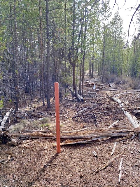 54920 Huntington Road Bend, OR 97707 - Photo 18 of 32 North East Corner Stake