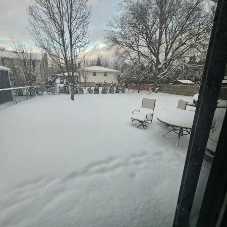 a view of backyard with a white bed