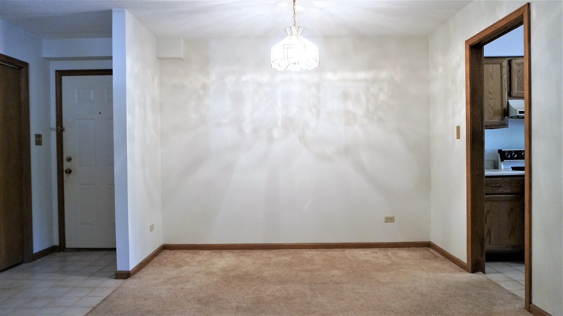 2161 Oak Road, Unit 1C Homewood, IL 60430 - Photo 5 of 17