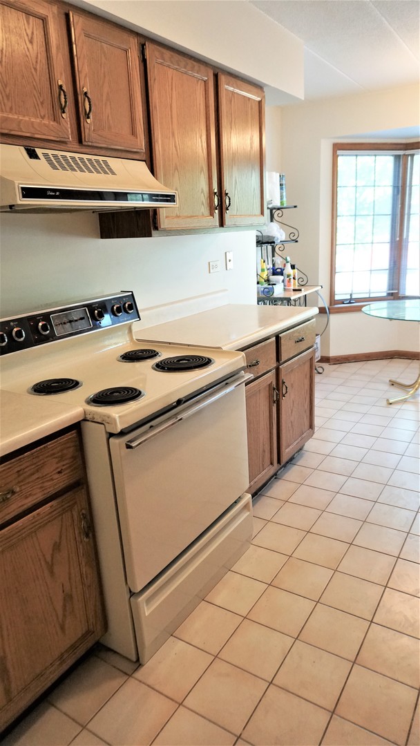 2161 Oak Road, Unit 1C Homewood, IL 60430 - Photo 6 of 17 a kitchen that has a sink and a stove