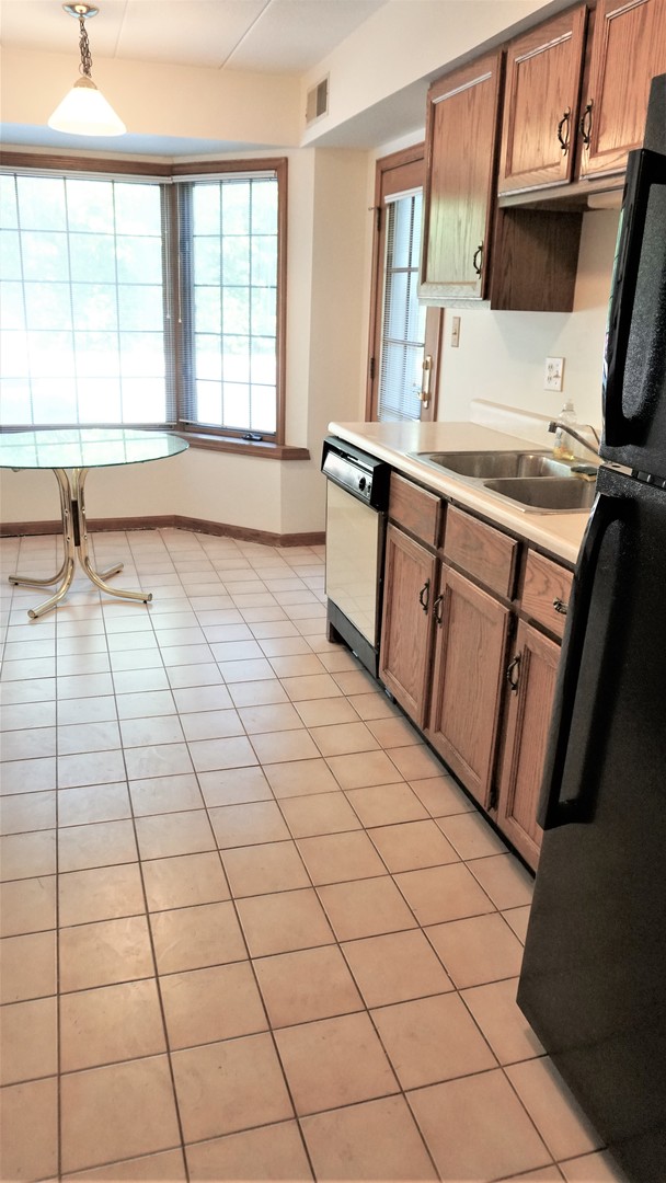 2161 Oak Road, Unit 1C Homewood, IL 60430 - Photo 7 of 17 a view of a kitchen with a sink